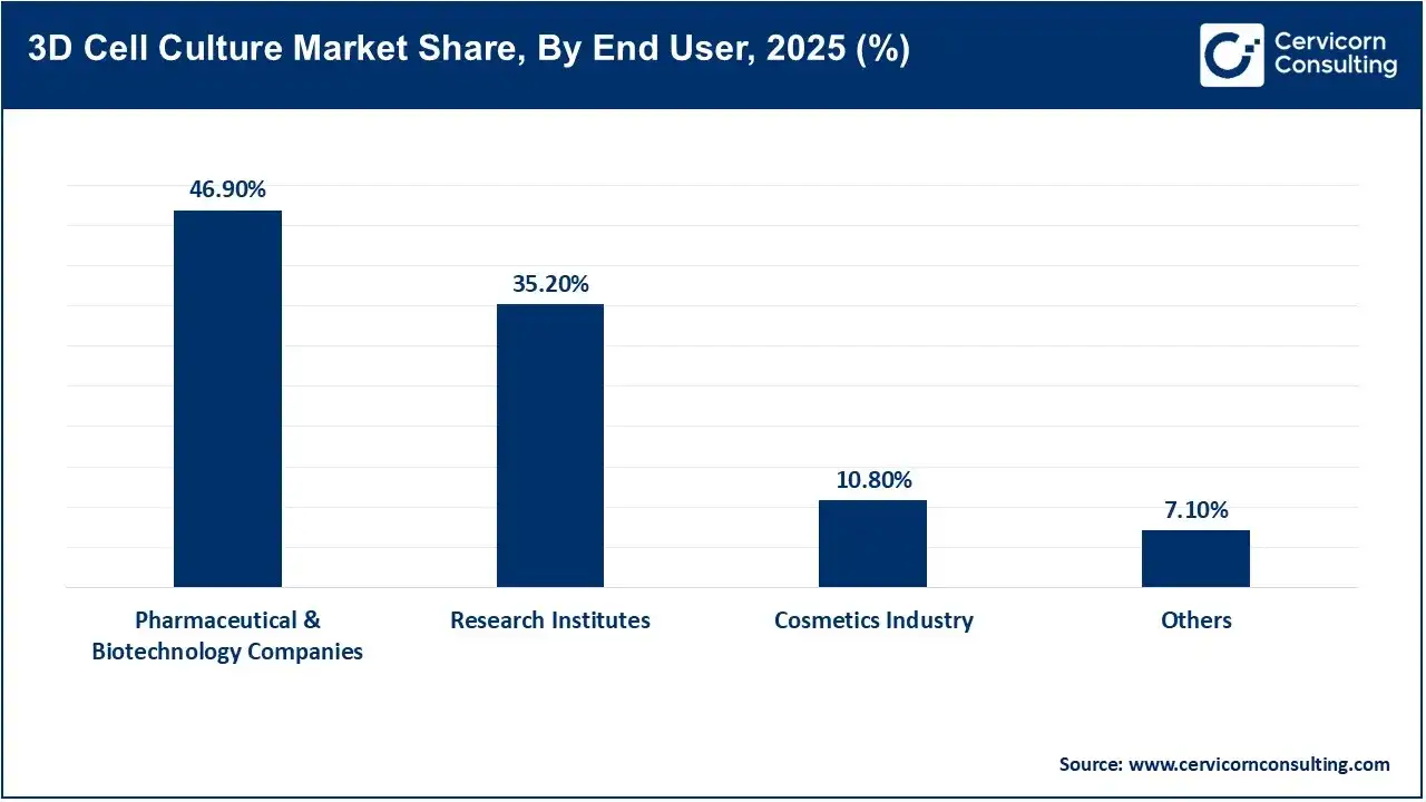 3D Cell Culture Market Share, By End User, 2025 (%)