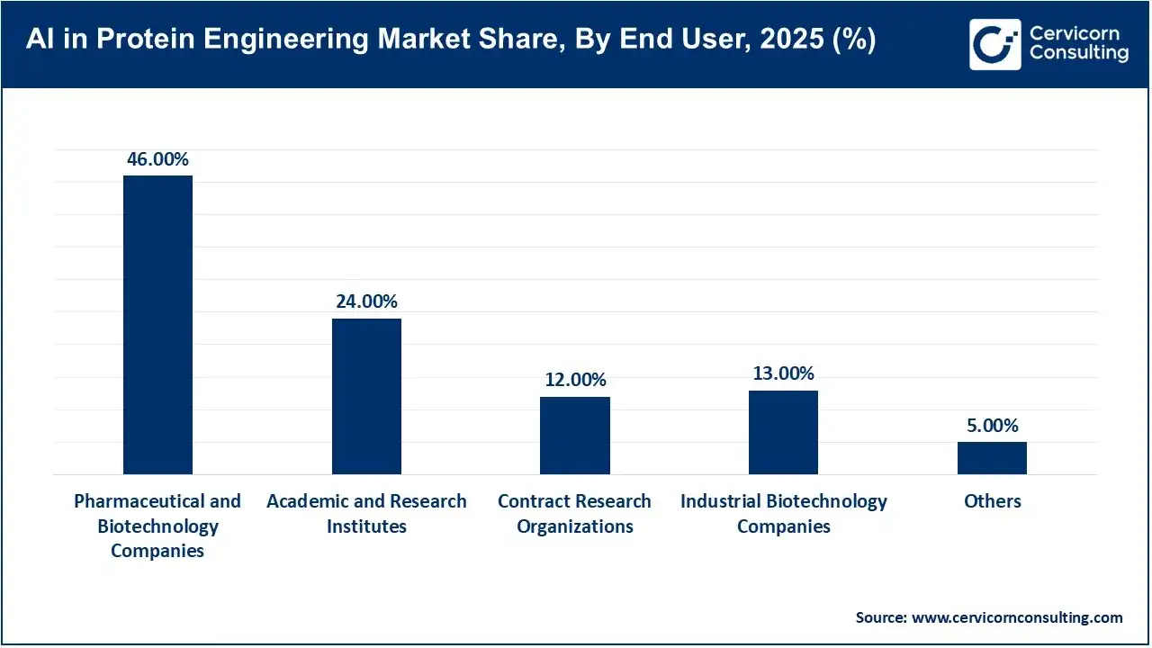 AI in Protein Engineering Market Share, By End User, 2025 (%)