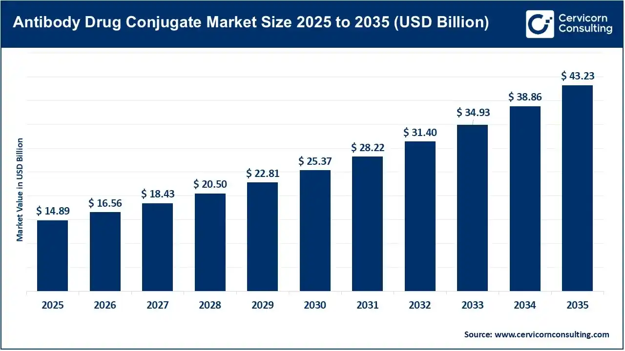 Antibody Drug Conjugate Market Size 2025 to 2035 Antibody Drug Conjugate Market Size 2025 to 2035