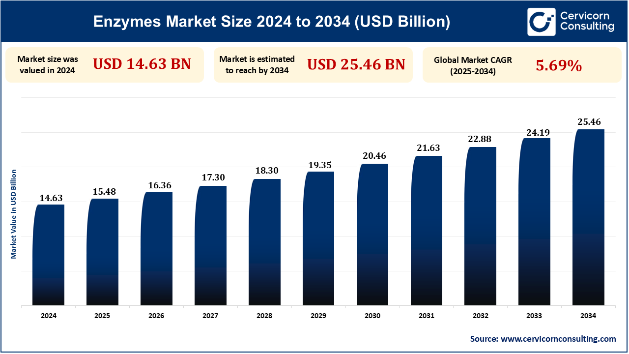Enzymes Market Research Report 2025 to 2034