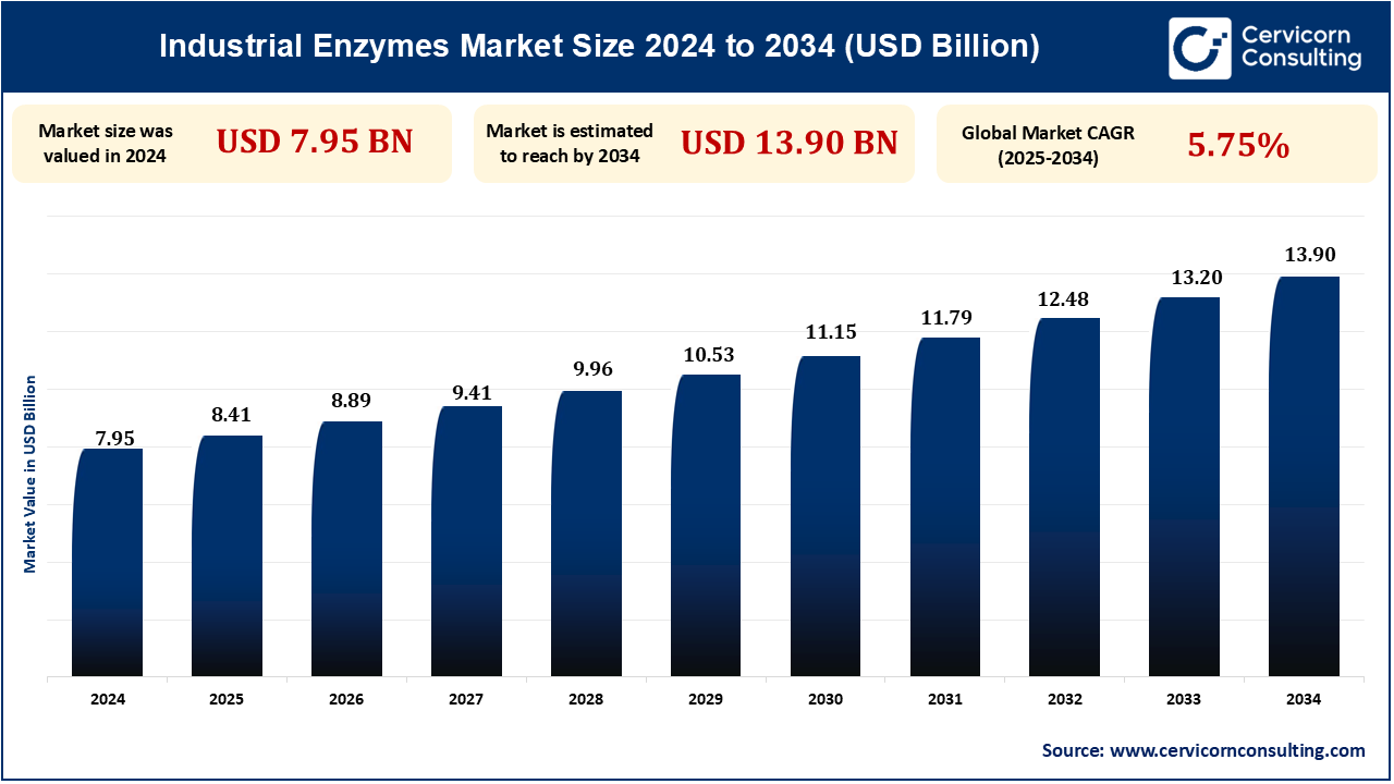 Industrial Enzymes Market Research Report 2025 to 2034