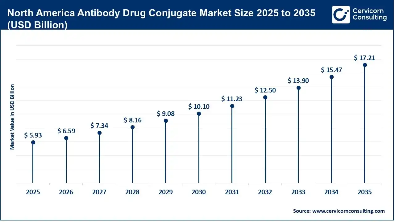 North America Antibody Drug Conjugate Market Size 2025 to 2035 (USD Billion) North America Antibody Drug Conjugate Market Size 2025 to 2035 (USD Billion)
