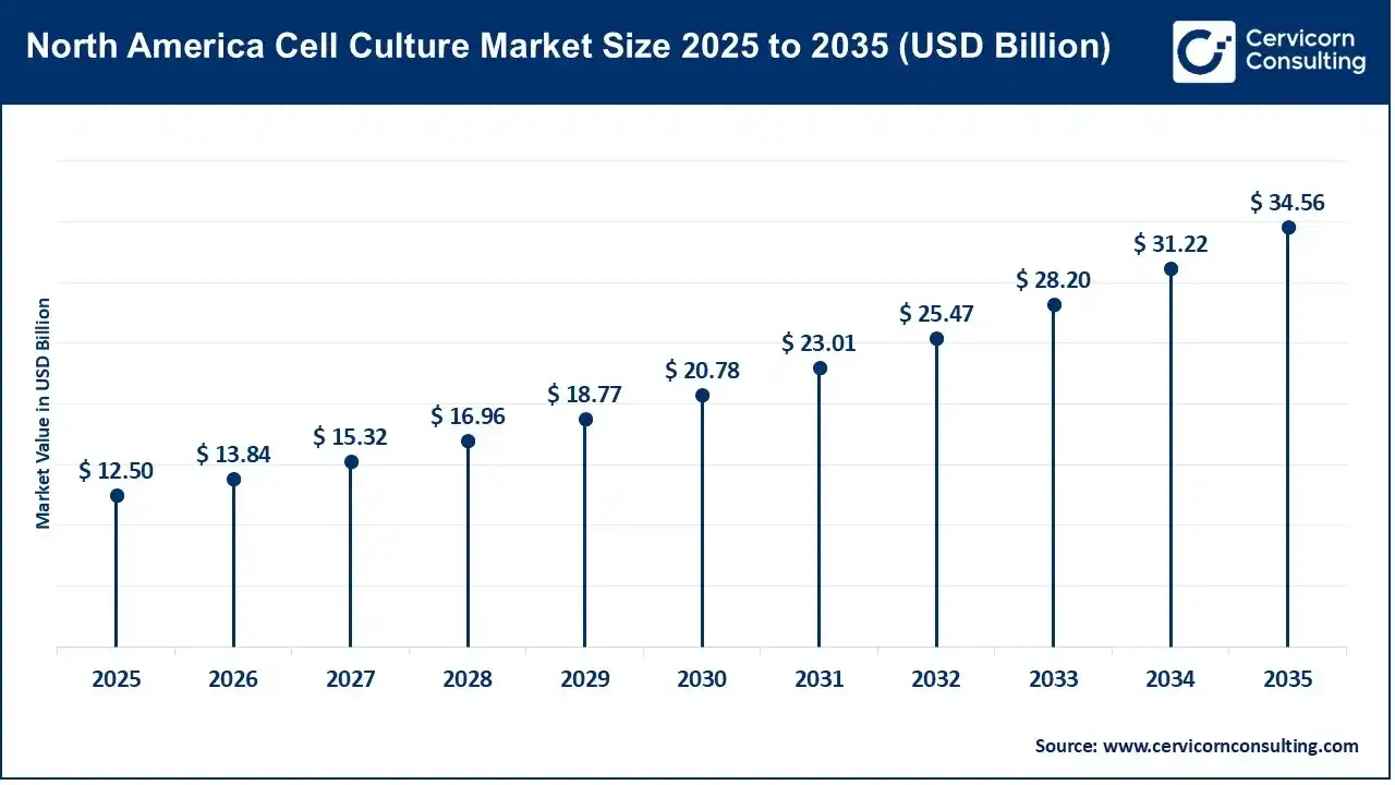 North America Cell Culture Market Size 2025 to 2035 (USD Billion) North America Cell Culture Market Size 2025 to 2035 (USD Billion)