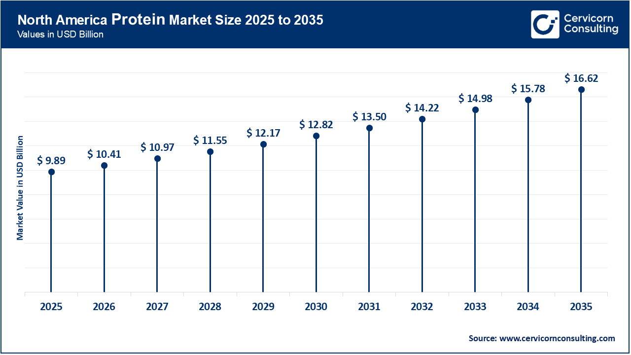 North America Protein Market Size 2026 to 2035