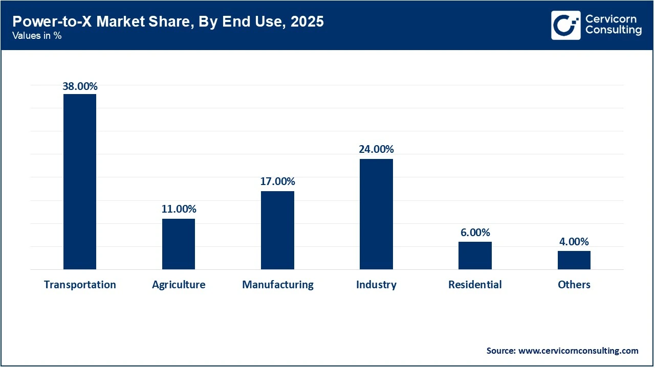 Power-to-X Market Share, By End Use, 2025 (%)