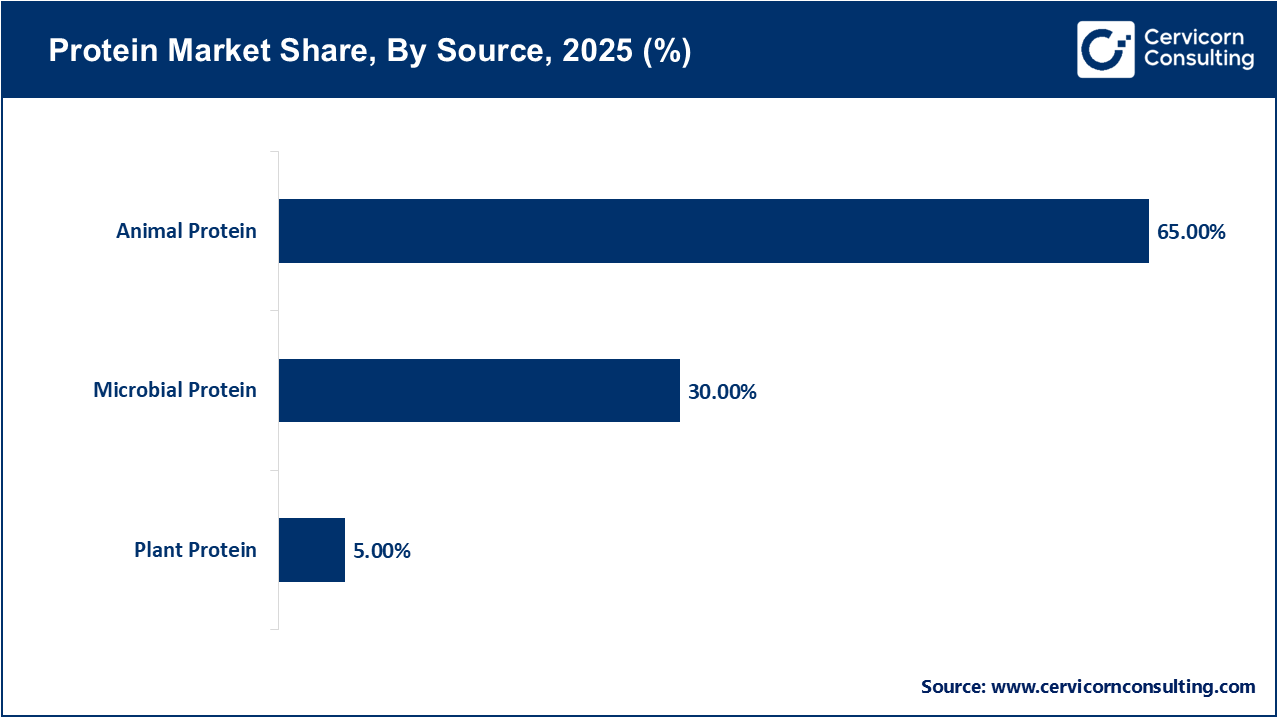 Protein Market Share, By Source, 2025 (%)