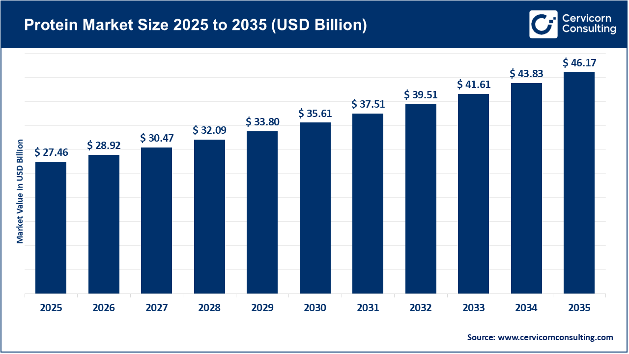 Protein Market Size 2026 to 2035