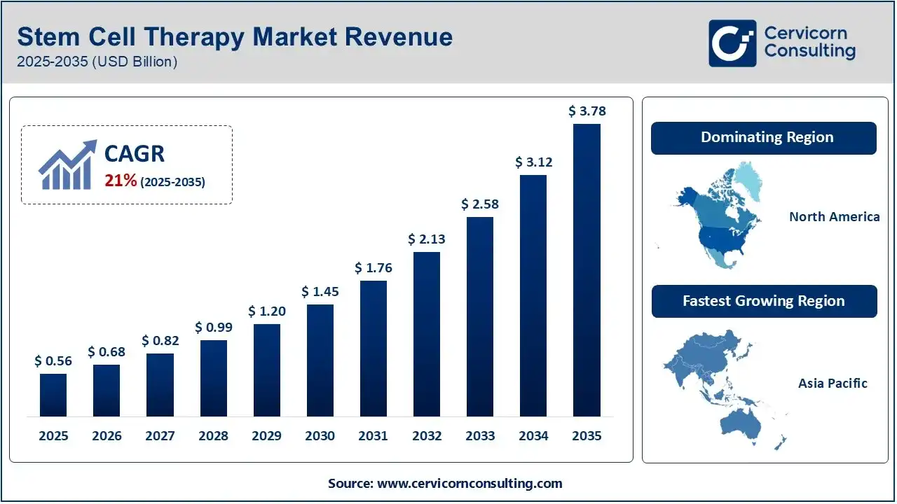 Stem Cell Therapy Market Revenue 2025-2035 (USD Billion)