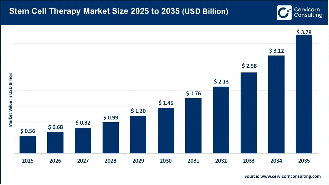 Stem Cell Therapy Market Size 2025 to 2035